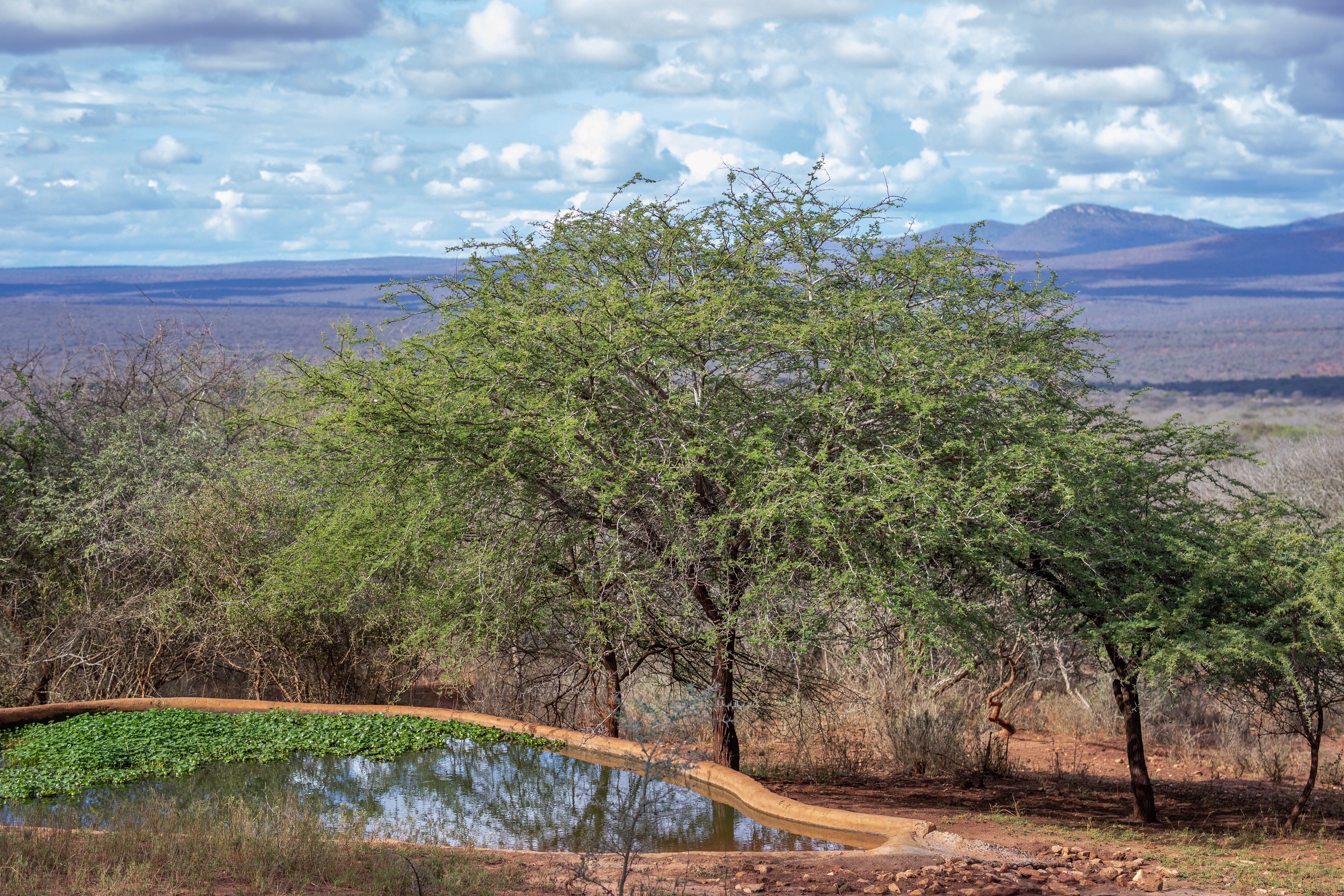 Pool from Duiker Bedroom
